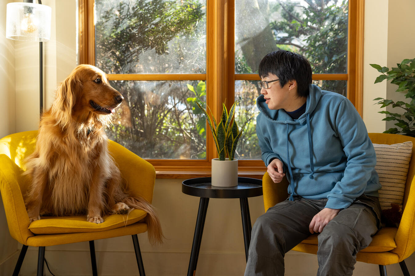 we are talking about your dogs